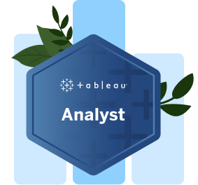 Tableau Analyst