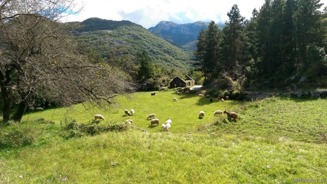 Montenegro, Cetynia, Lovcen, Njegusi