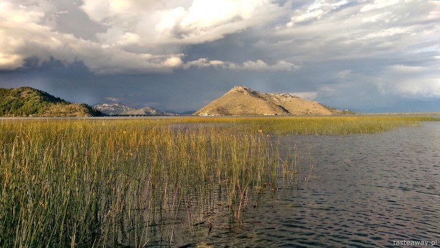 Lake Skadar, Virpazar,  Montenegro, what to see in Montenegro