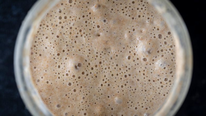 Yeast bubbling