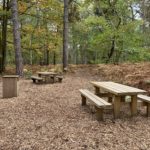 Photo of two picnic tables amongst autumnal trees