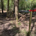 Photo taken looking along the site boundary. The fence is not secure and shows the proximity to the road.