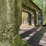 Photo taken looking across some old MOD infrastructure - concrete structure with graffiti.