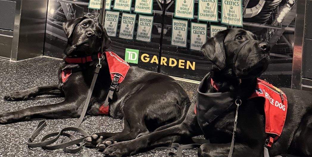 NEADS Red Vest Accessible Training Program Debuts at TD Garden