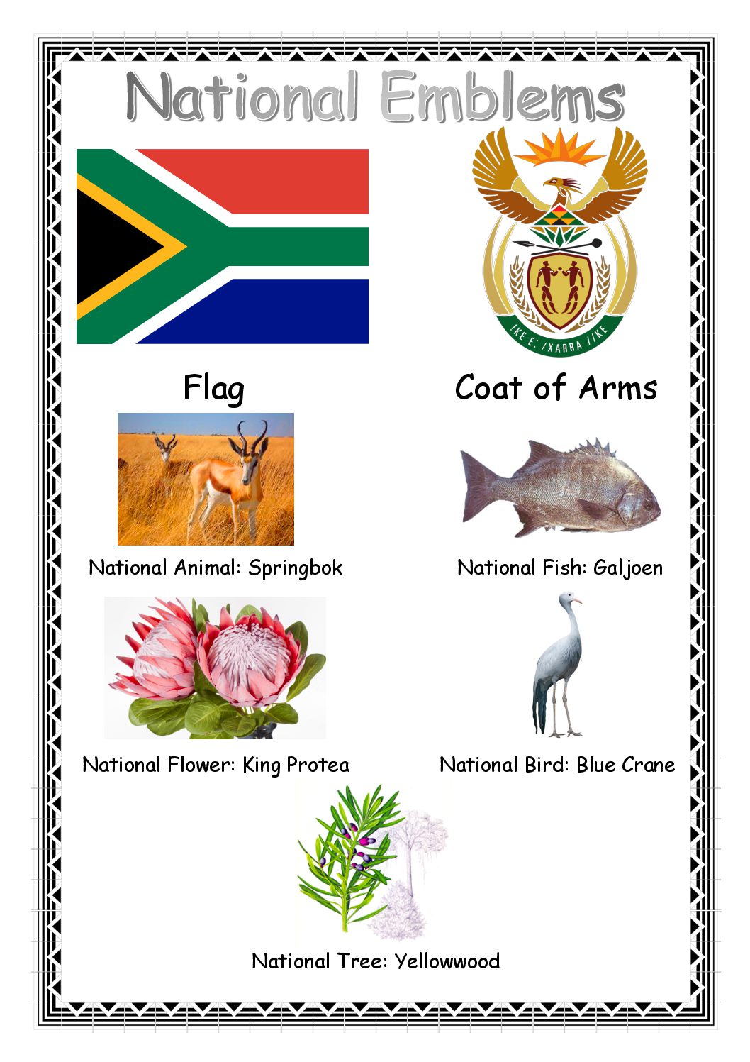 South African National Symbols