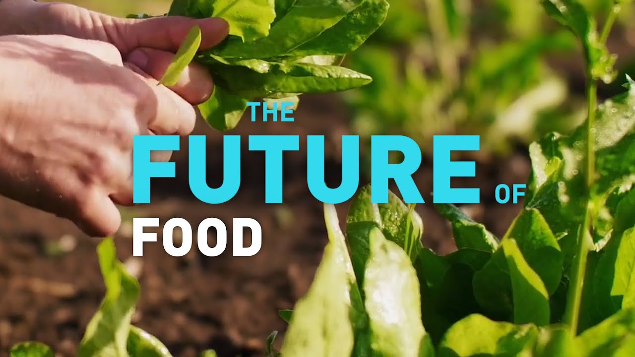 The Future Of Food: Navigating The Food Game In 2025 - Online Games ...