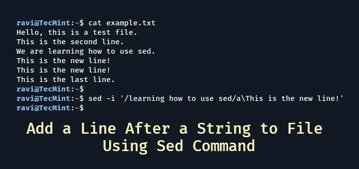 Add a Line Using Sed Command