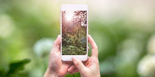 Two hands holding a smartphone displaying a green forest on its screen