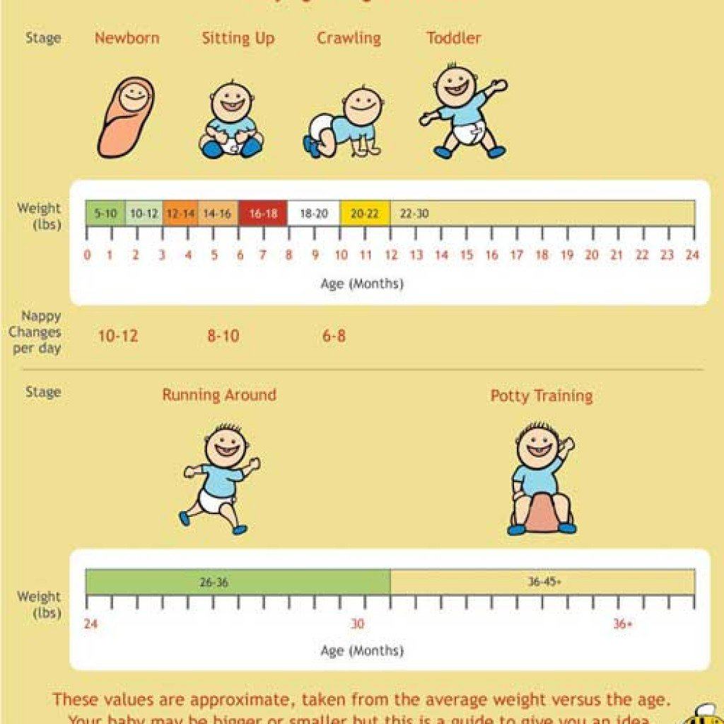 Newborn Baby Weight Chart Child weight chart uk nhs