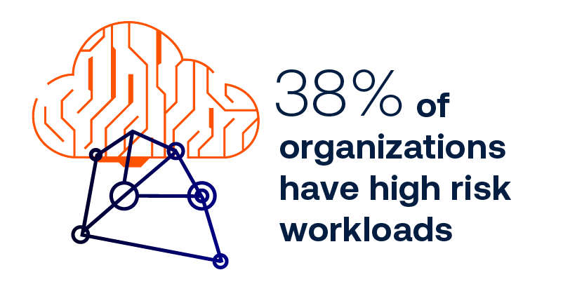 38% of organizations have high risk workloads