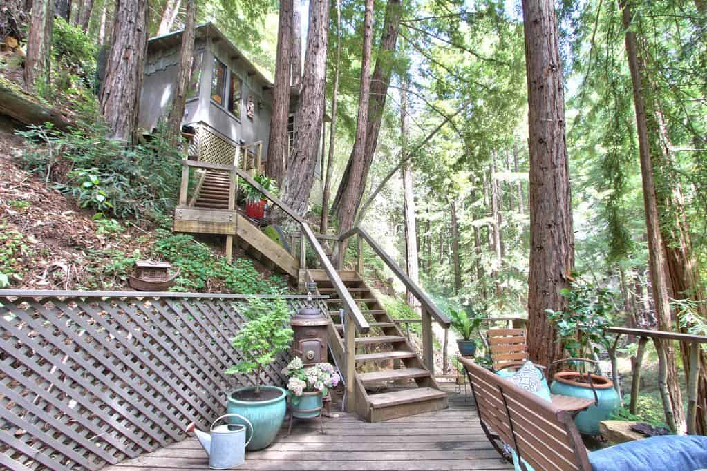 redwoods cabin rental