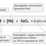 Dissolved Oxygen In Blood Equation