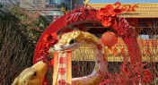 ​Explainer: Everything You Need to Know About the Year of the Snake