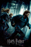 Harry Potter and the Deathly Hallows: Part I poster