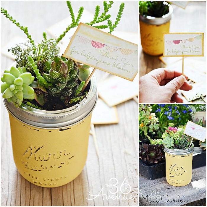 DIY Succulent Planters