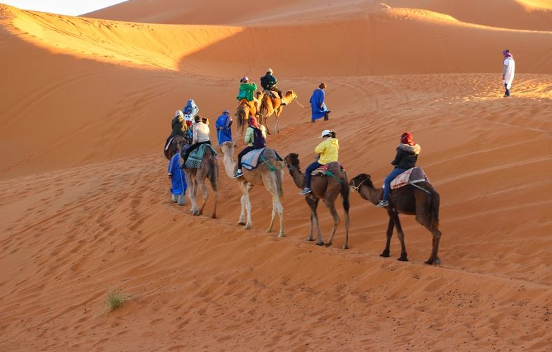 The Dunes of Arabia – A Guide to Desert Safaris in Abu Dhabi