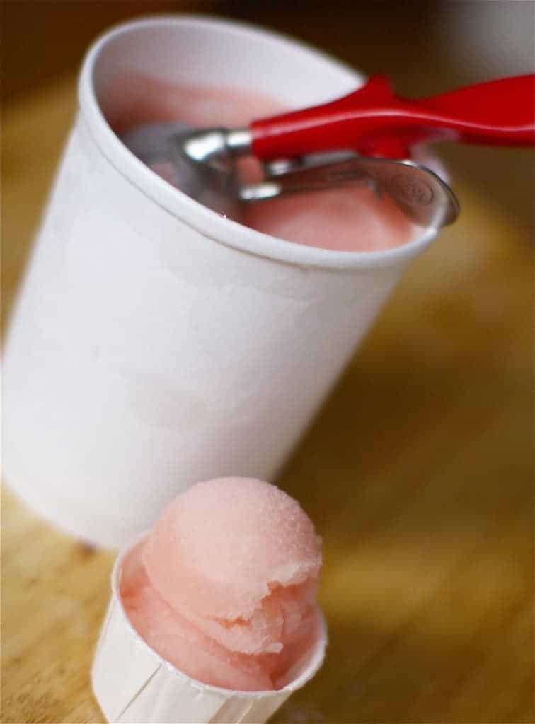 Pink Grapefruit Sorbet