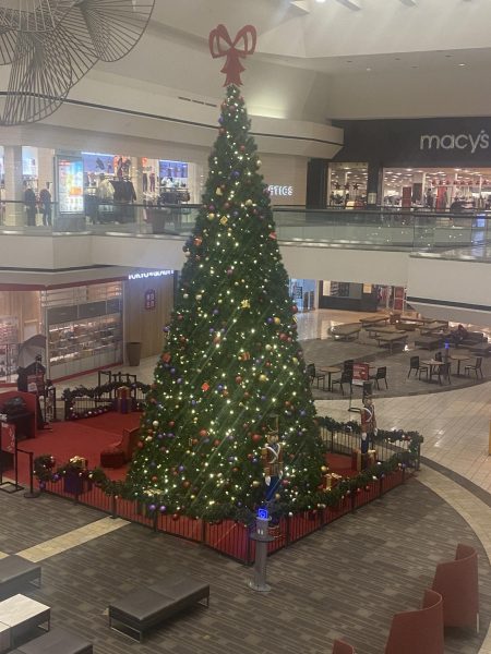 A Christmas tree stands proud at Stoneridge Mall.