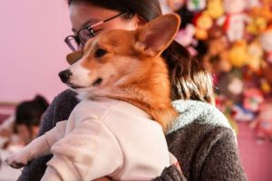 Pet Economy Surges with Spread of Cat and Dog Cafes Across China