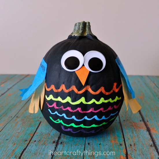 no carve owl pumpkin