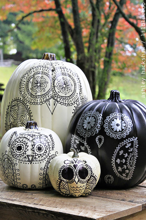 sharpie owl painted pumpkins