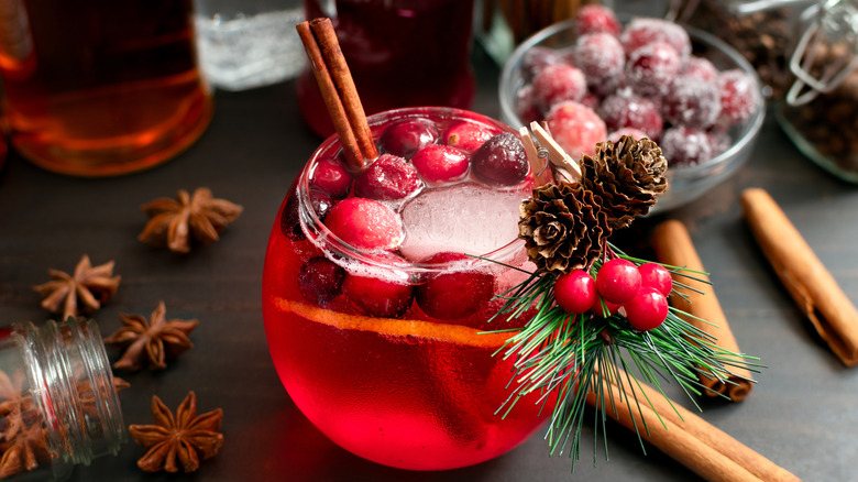 Cranberry holiday season cocktail with festive garnishes