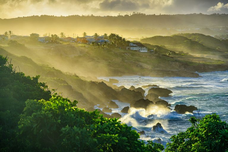 19 Fabulous Things to do in Barbados