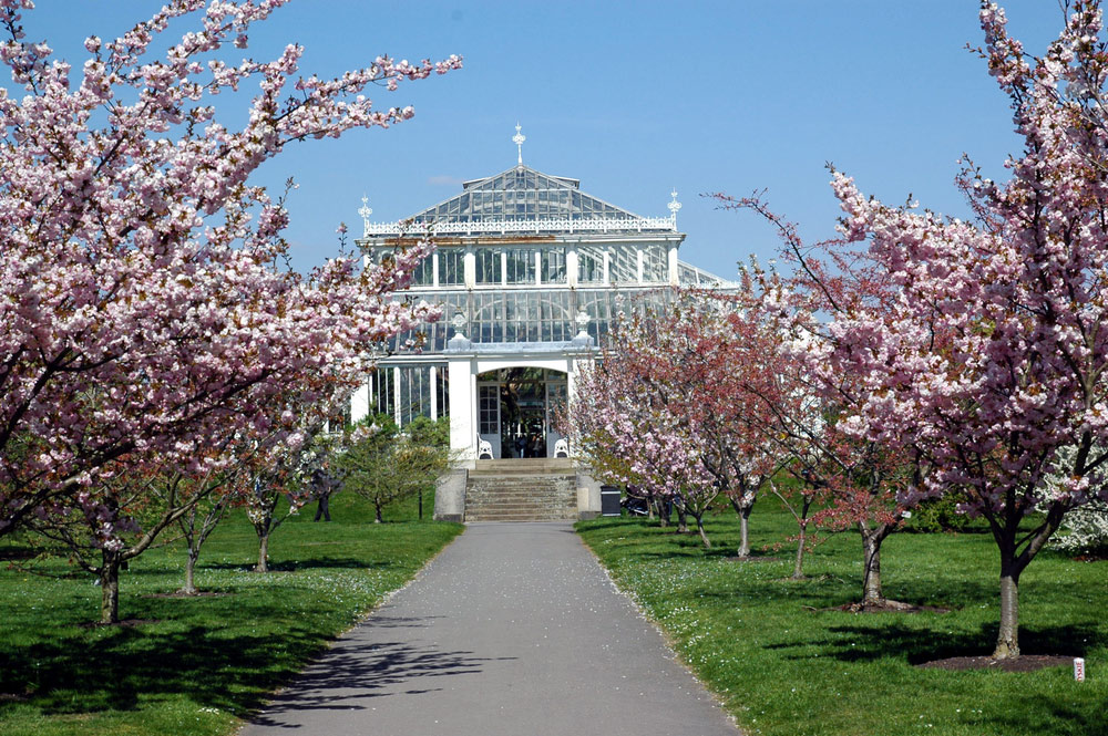 Kew gardens