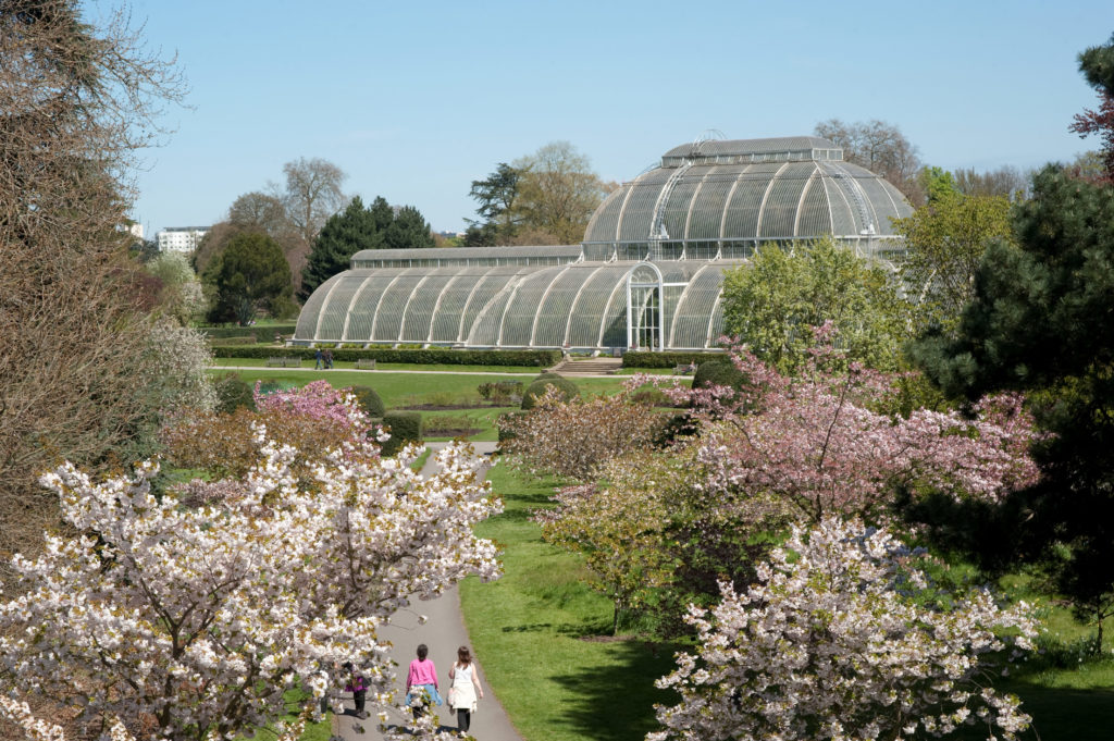 kew gardens