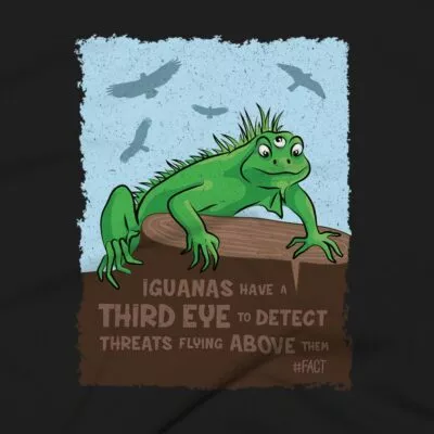 Iguanas Clothing Design #FACT - Close Up - Black