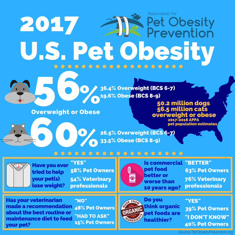 Pet Obesity