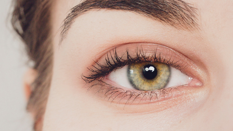 Close up picture of a woman's eye