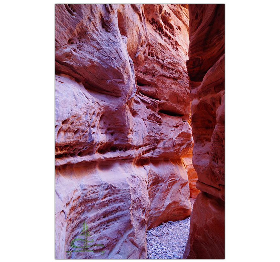 narrow canyon side adventure on white domes trail