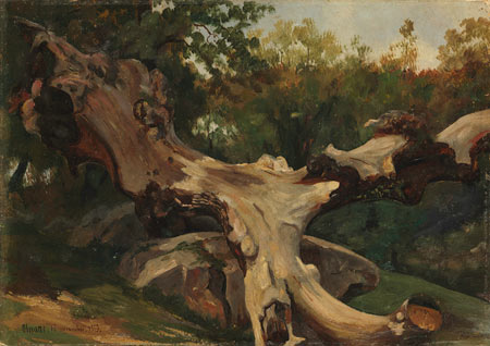 Image of Uprooted Tree by Gazeau