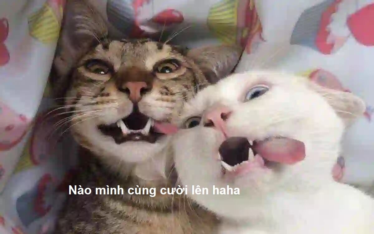 Meme đôi bạn cùng cười