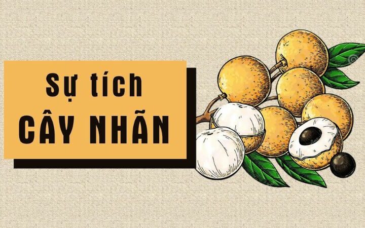 Truyện cổ tích Việt Nam: Sự tích cây nhãn