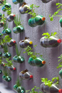 DIY Urban Recycled Vertical Garden