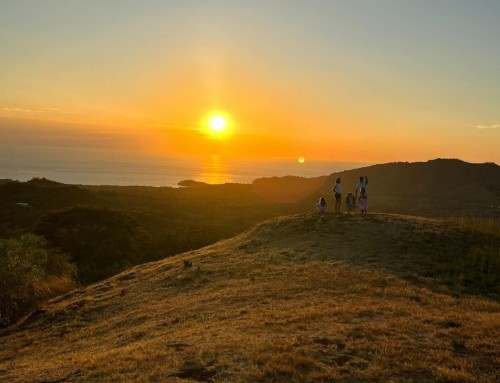 Best Hikes in Costa Rica: Exploring Tamarindo Beach and Guanacaste