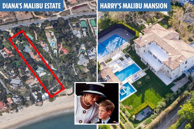 Princess Diana was planning Malibu move with her sons like Harry and ...