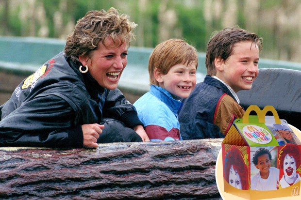 Princess Diana used to take Prince William and Prince Harry on 'secret ...