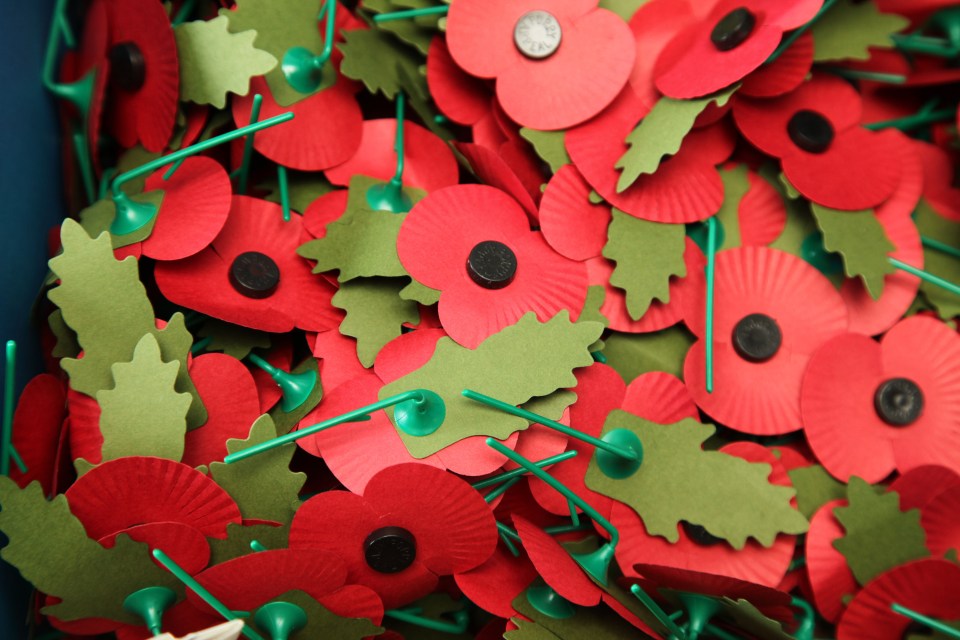 We explain where to buy Remembrance Day poppies in 2020