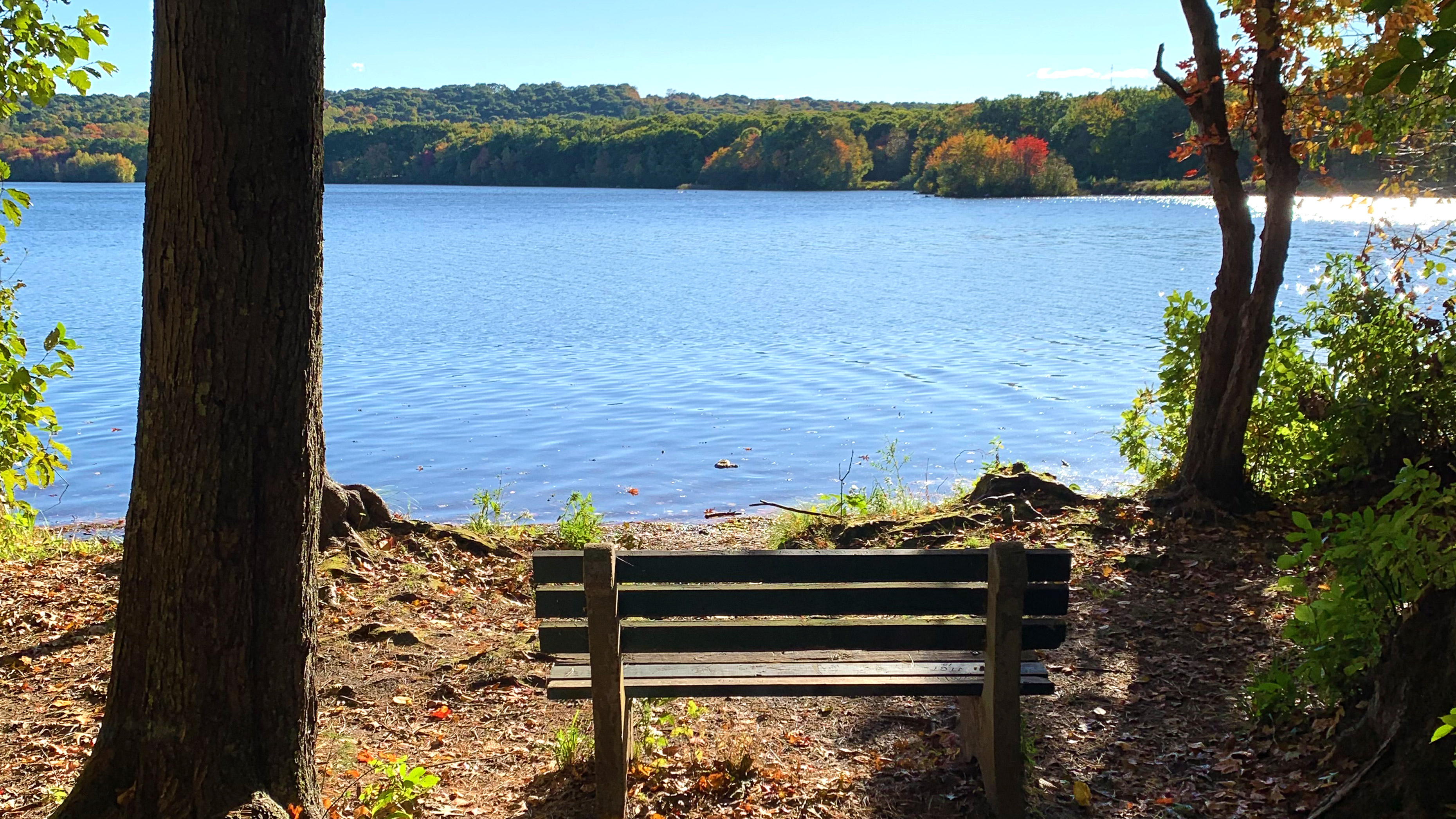 Bench overlooking the water at Scoville Reservoir in Wolcott, CT