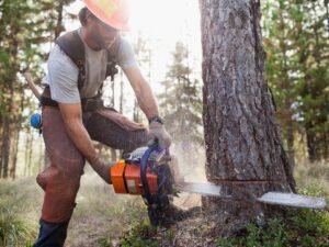 Pole Saw Cutting Techniques