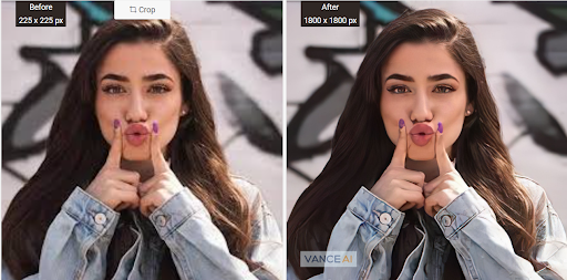 Create Delicate Profile Pictures with VanceAI Image Upscaler