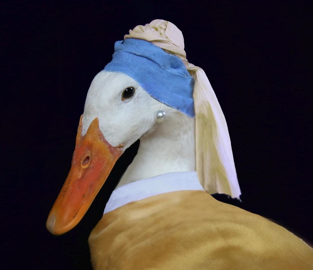 A rendition of Vermeer's "Girl with a Pearl Earring" featuring a duck