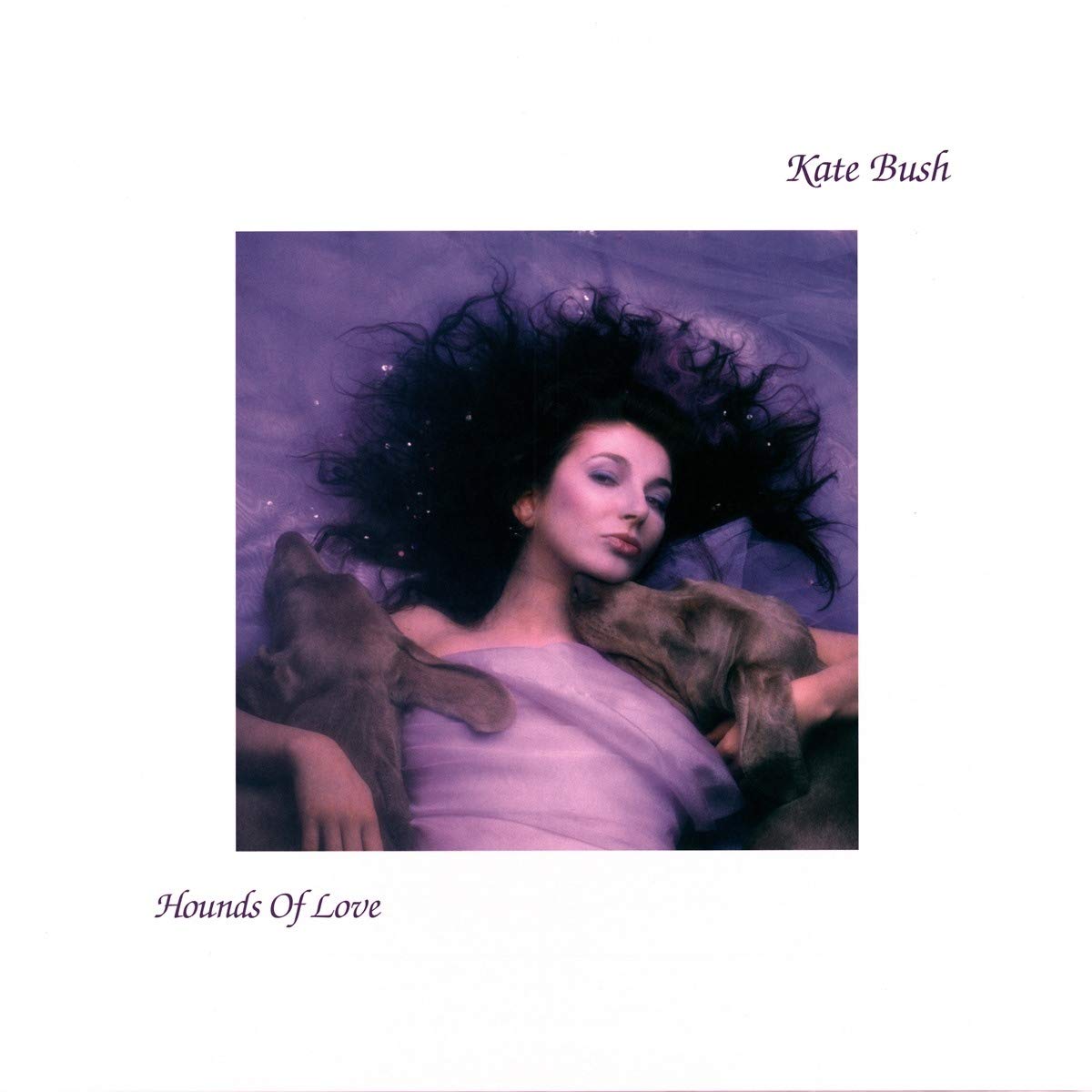 Hounds of Love 80s album cover