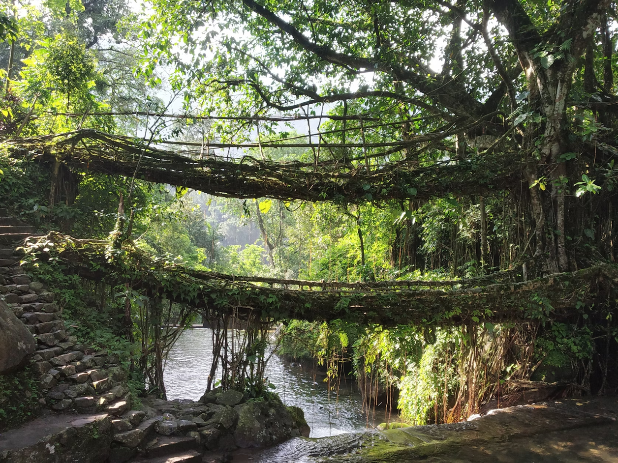 Mawlynnong, Meghalaya