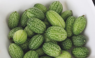 Cucamelon 'Melothria' from Thompson & Morgan