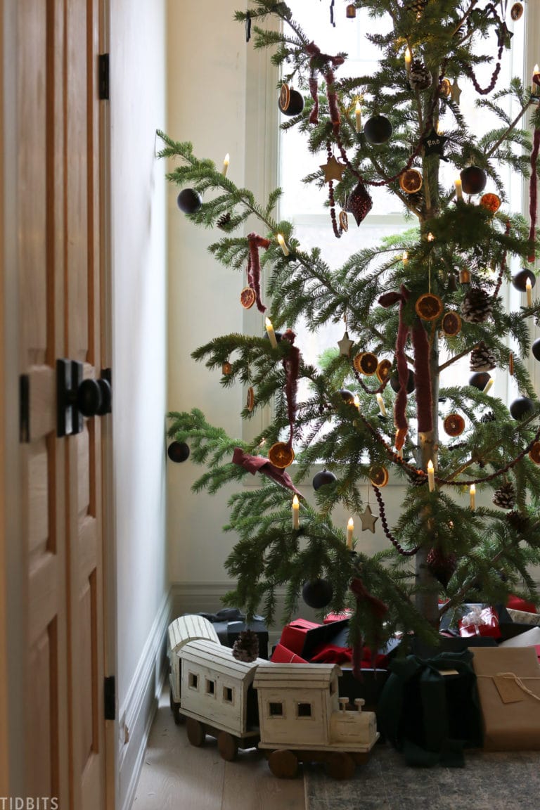 Old Fashioned Christmas Tree Cut from the Mountains