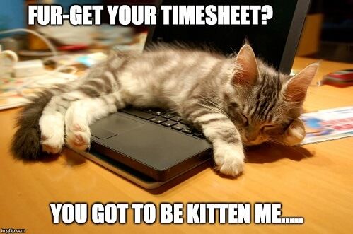 Kitty timesheet meme